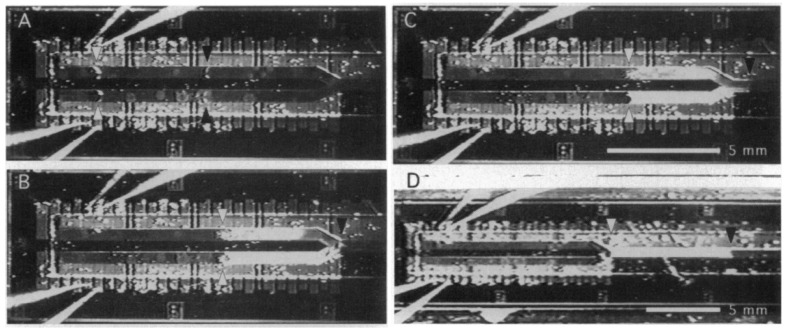 Figure 30