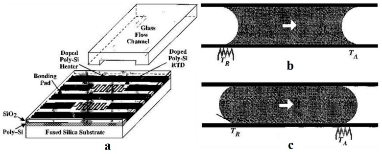 Figure 31