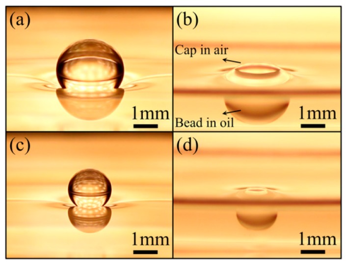 Figure 28