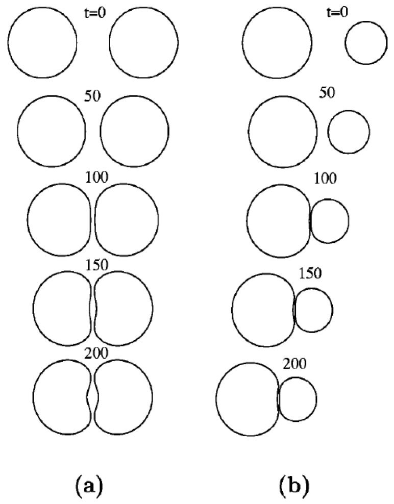 Figure 21