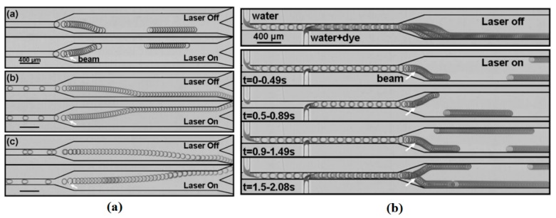 Figure 40