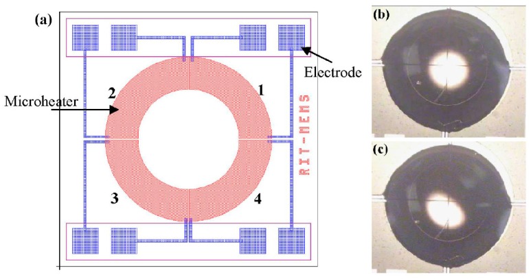 Figure 43