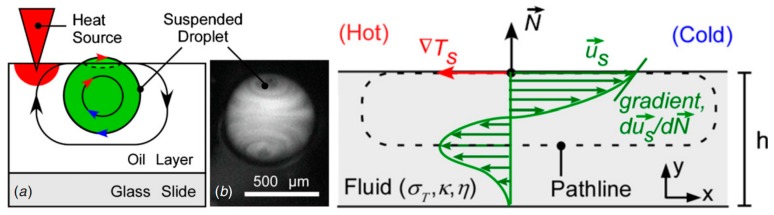 Figure 24