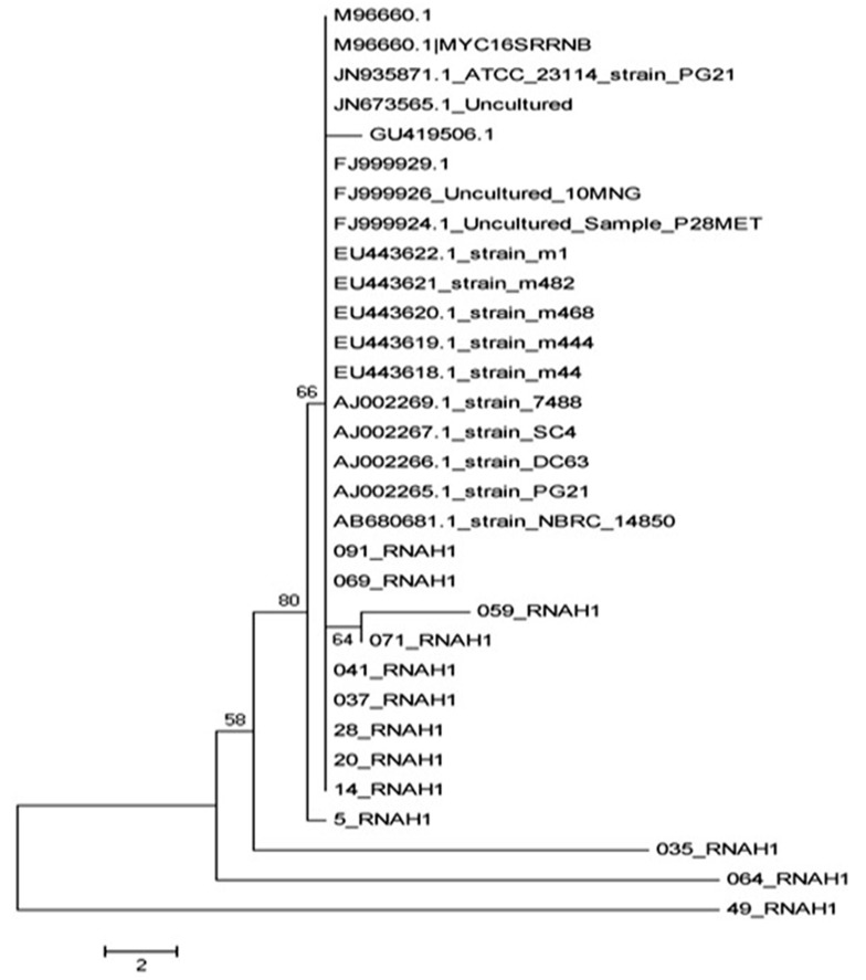 Figure 3.