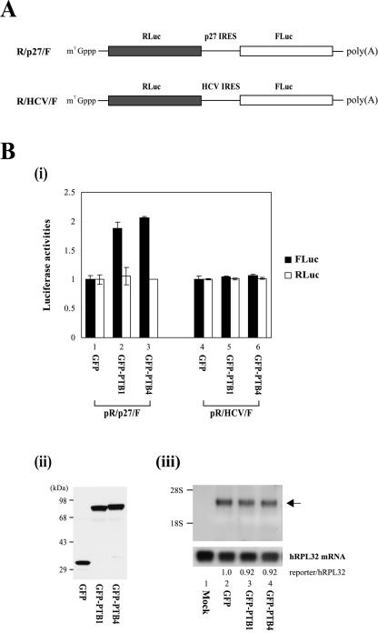 FIG. 5.