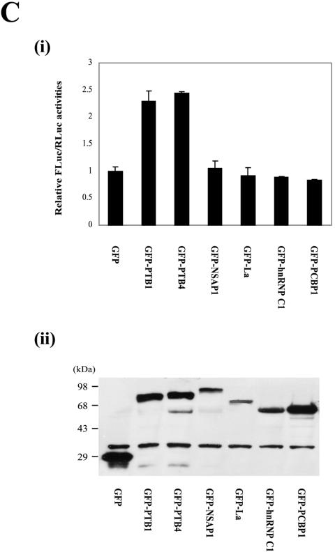 FIG. 5.