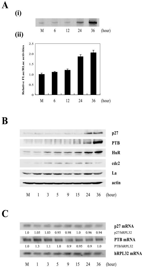 FIG. 7.