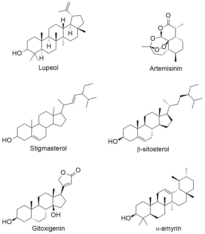 Figure 5.