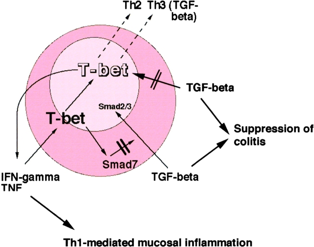 Figure 9.