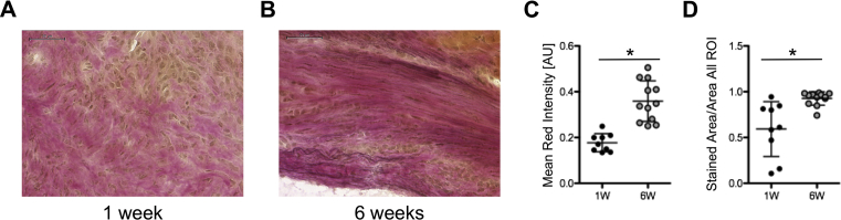 Fig. 7