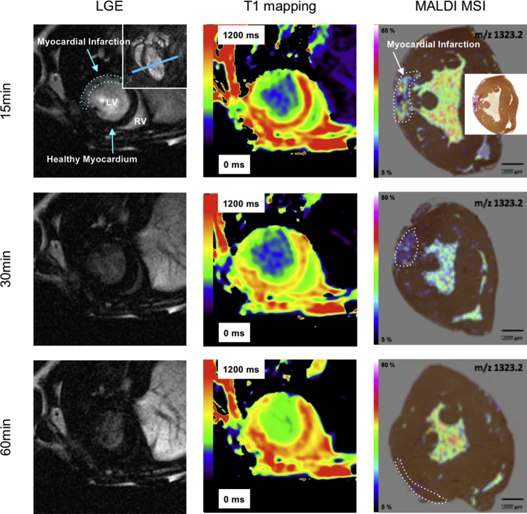 Fig. 4