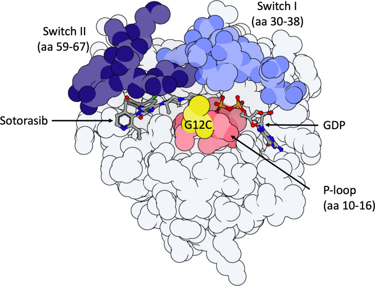 Figure 1