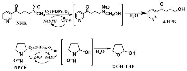 Scheme 2