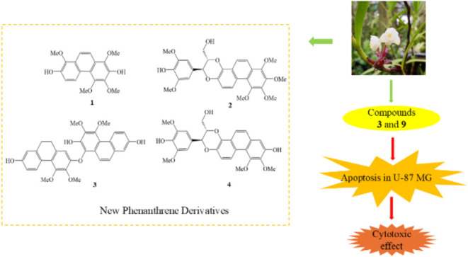 graphic file with name ao5c04743_0010.jpg