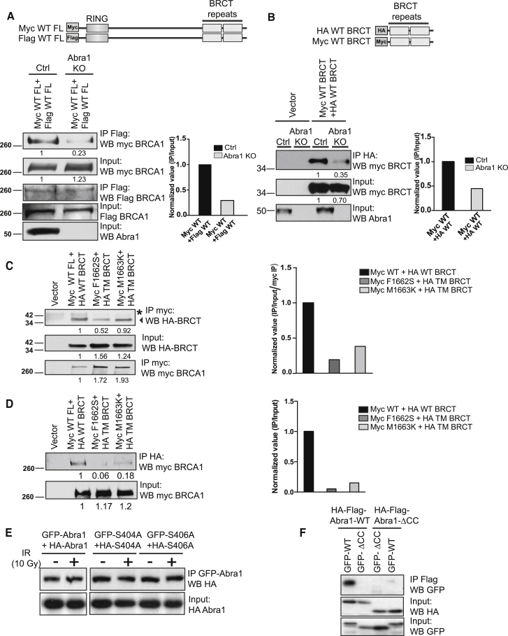 Figure 6