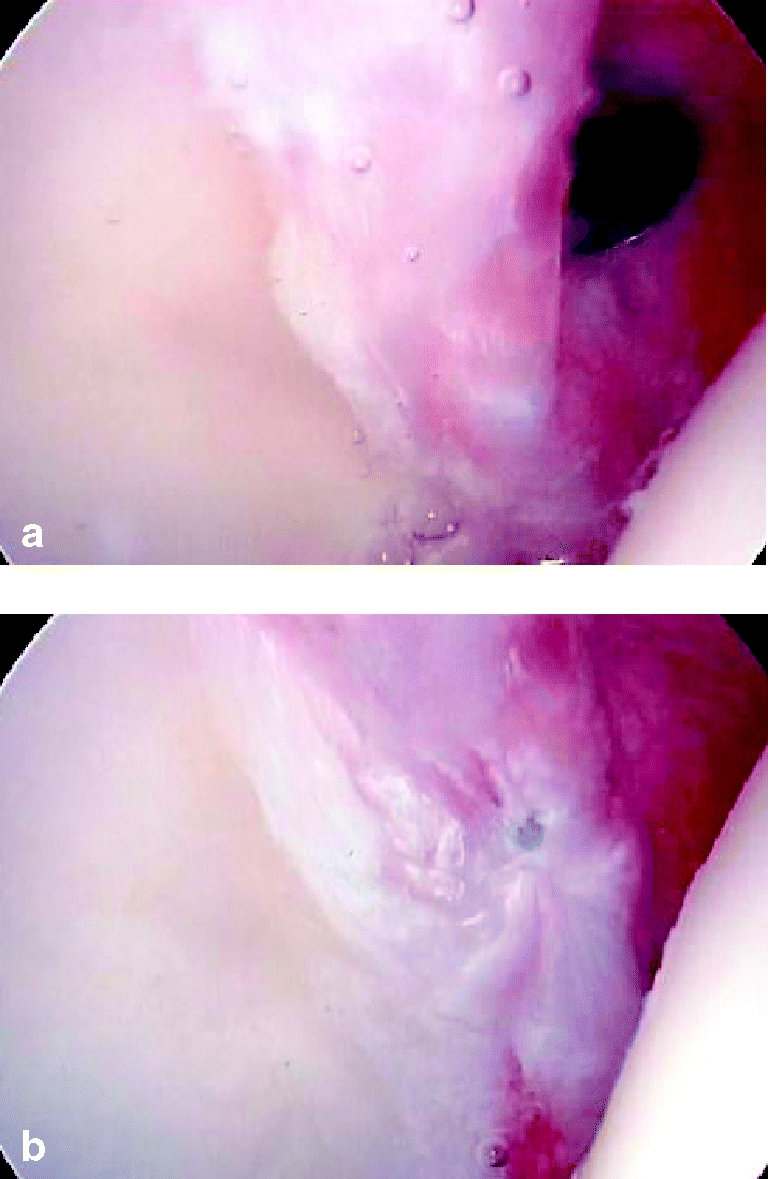 Fig. 7