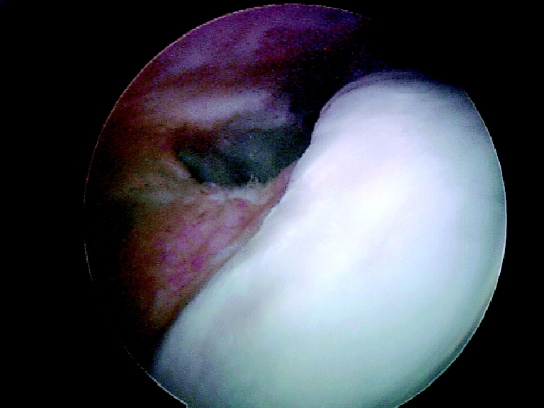 Fig. 8