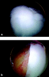Fig. 9