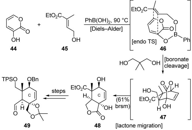 Scheme 7