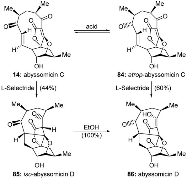 Scheme 13