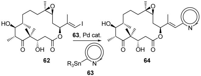 Scheme 10