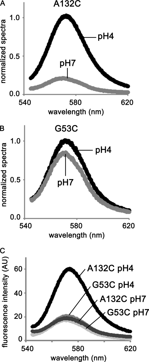 FIGURE 5.