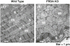 Fig. 9