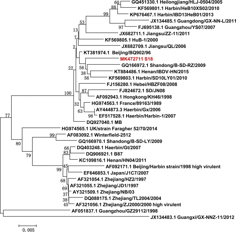 FIG 1