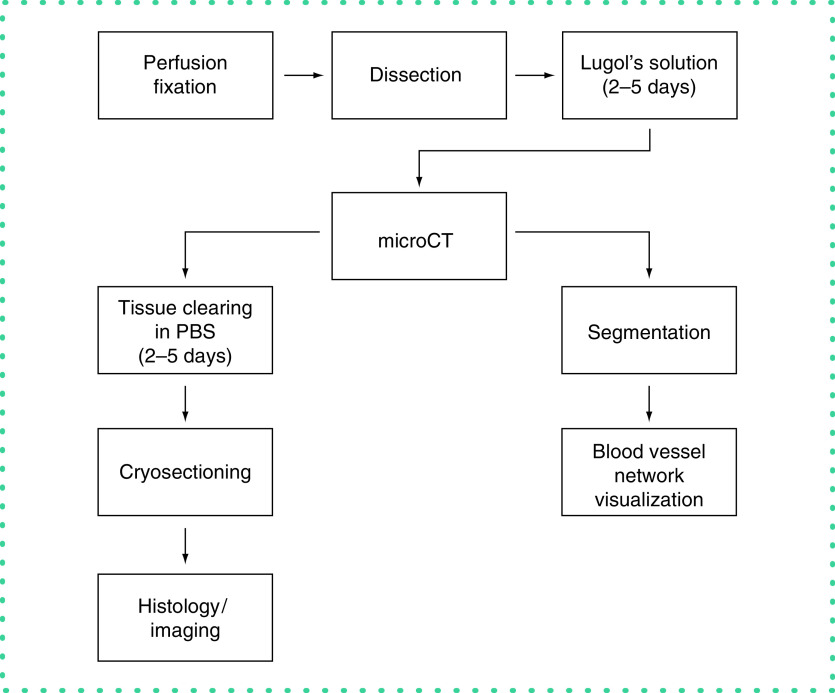 Figure 1. 