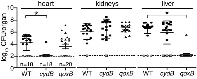 FIG 4 