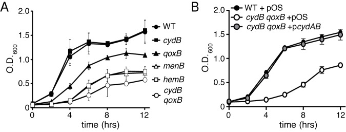 FIG 2 