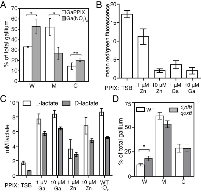 FIG 6 