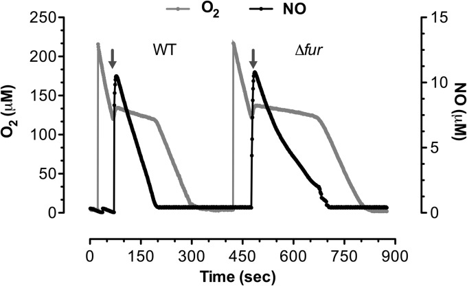 FIG 2