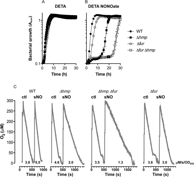 FIG 3