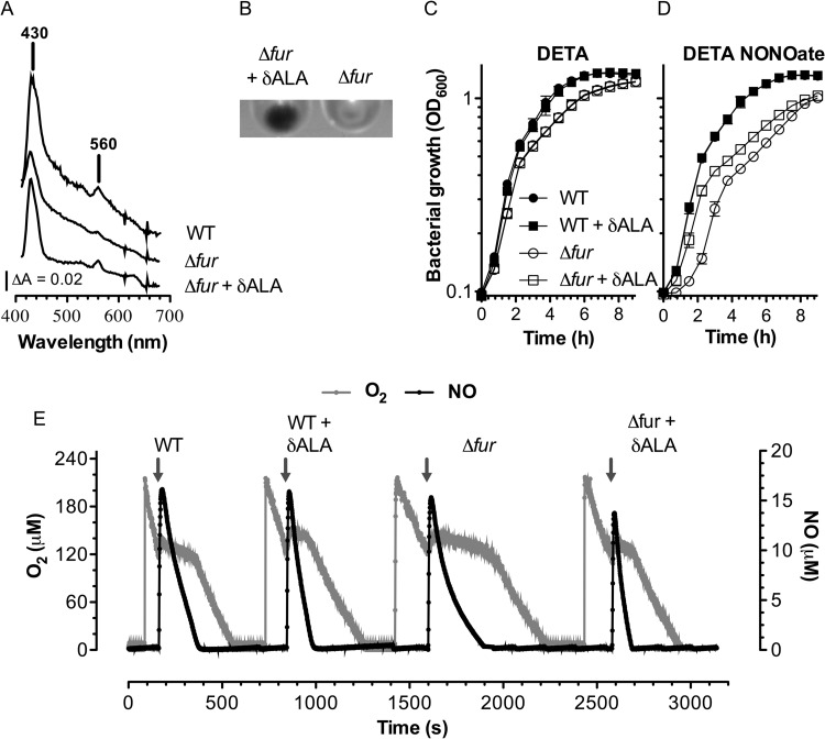 FIG 4