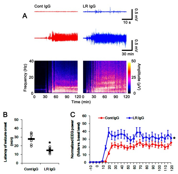 Figure 12