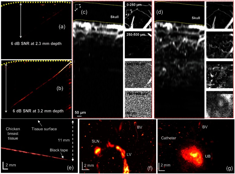 Fig. 13