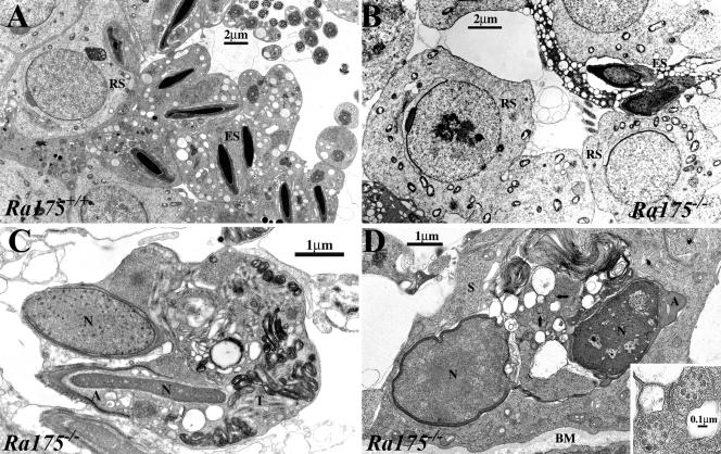 FIG. 6.