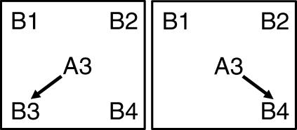 Fig 10