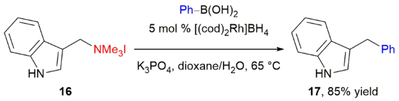 Scheme 5