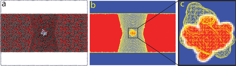 Figure 1: