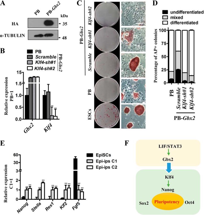 Figure 4.