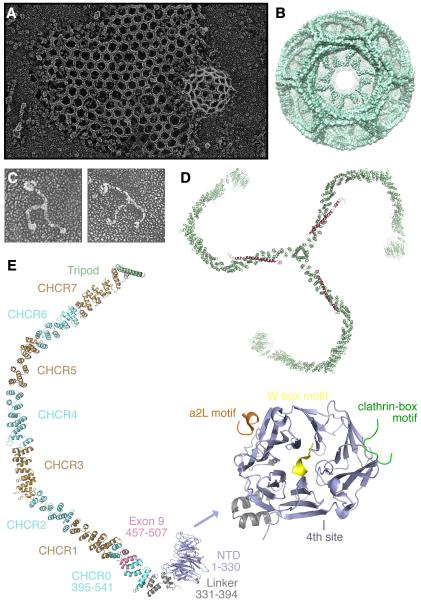 Fig. 1