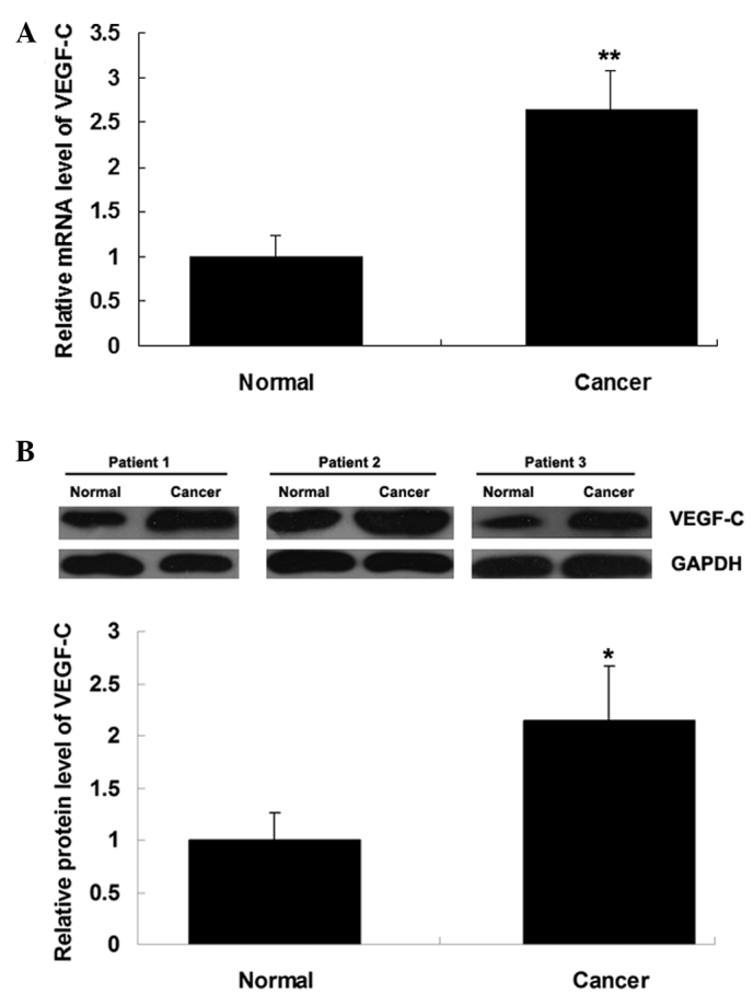 Figure 6.