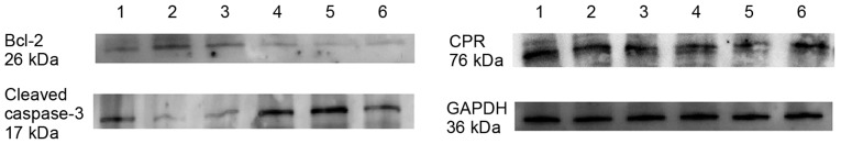 Figure 6.