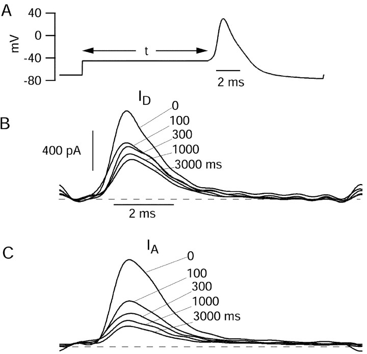 Fig. 10.