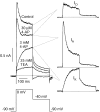 Fig. 5.