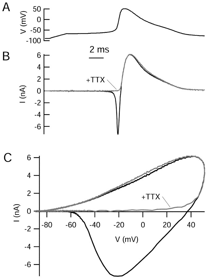 Fig. 6.