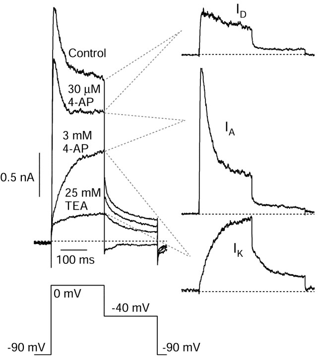 Fig. 5.