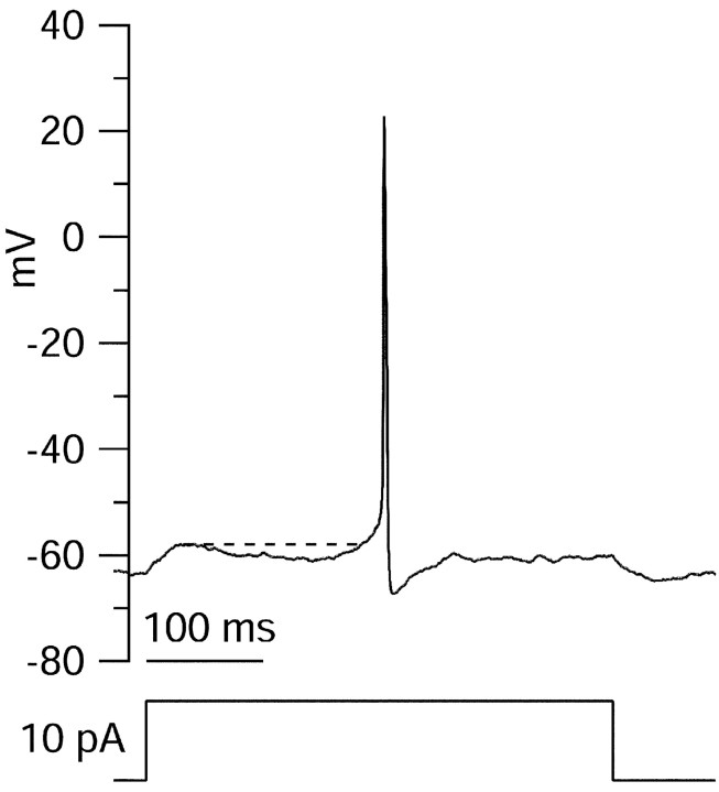 Fig. 9.